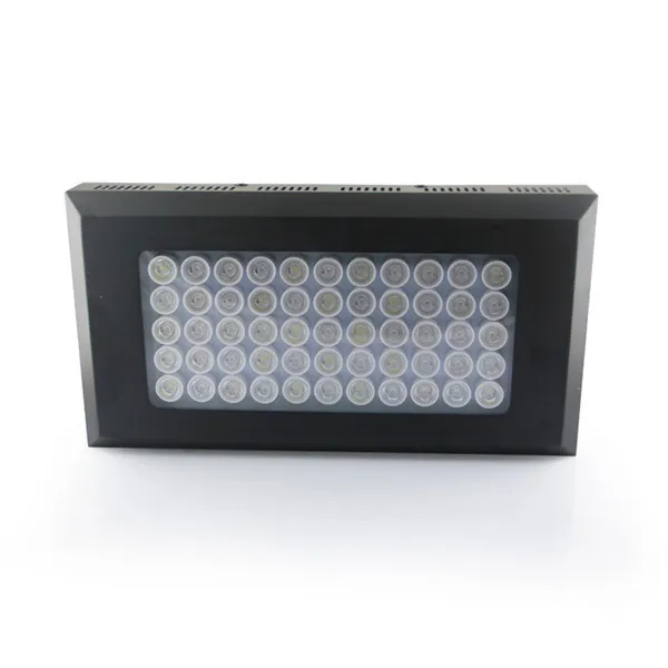 Aquarium Light -4.jpg