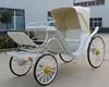 /product-detail/hotsell-cinderella-carriage-horse-carriage-bg11-m082--60652185109.html