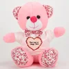 Pink Personalized Teddy Bear DIY Cute gift teddy bear with printable T-shirt