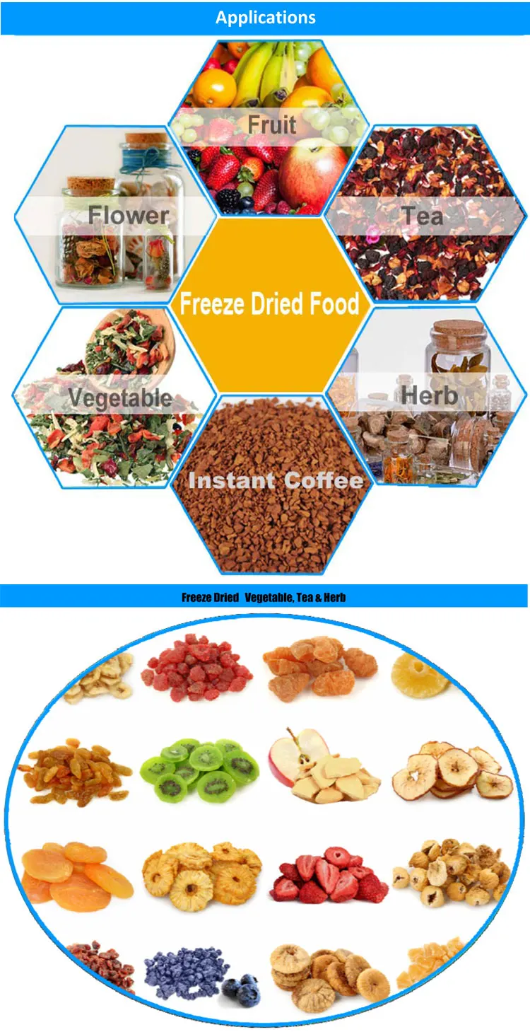 freeze food,freezedried 20kg mini food industrial vacuum drying lyophilization freeze