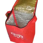 New Design Fashion Cool Basket Custom LOGO Food Delivery Cooler Bags