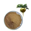 pure natural maca extract powder for HPLC test , 3 percent macamadies