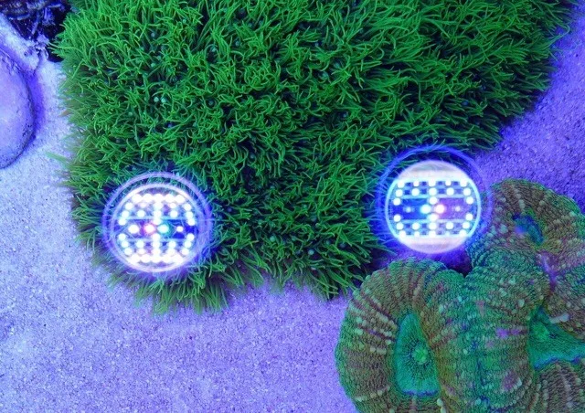 Chinese intelligent programmable cheap led marine light 150w coral reef used nano freshwater saltwater led aquarium light