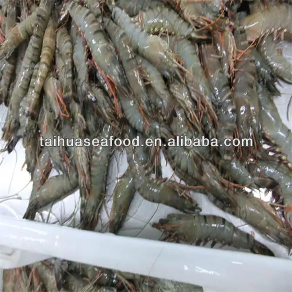 frozen seafood and cleaing tiger shrimp meat vietnam