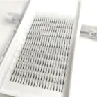 eyelash extension supplies private label 3D 4D 5D 6D lashes