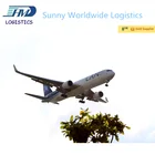 DHL/TNT/UPS/EMS international express agent from china to usa/UK air freight amazon fba delivery/trucking to door door
