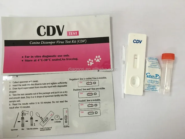 cdv canine distemper virus