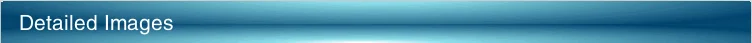 Detailed Image.png