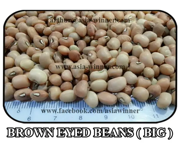 brown eyed beans (big)