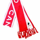 wholesale high quality cheap promotional knitted scarf