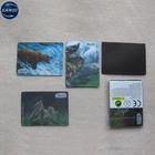 Custom full color printed plastic lenticular 3d fridge magnet