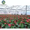 glass plastic greenhouse strawberry cultivation tray panels