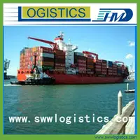 DDU DDP Service Fast Sea Freight