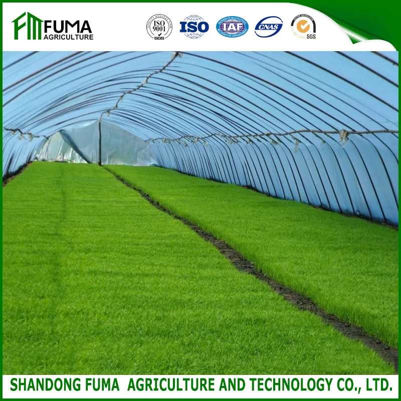 FM Low Cost Agricultural Single Span