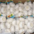 Fresh normal white garlic price in china
