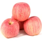 Apple style fresh fruits and fresh green color red delicious apple