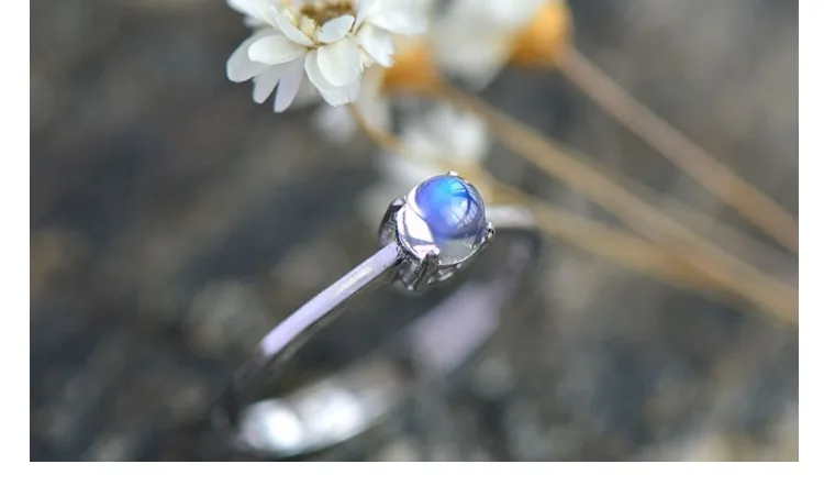 TB205yyewDD8KJjy0FdXXcjvXXa_!!570536128