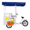 DC 12v 24v Solar ice cream pedal Tricycle with Solar deep freezer 158L