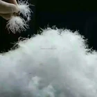 China high quality washed duck down feather inner raw material