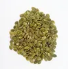 /product-detail/pumpkin-seeds-kernel-for-sale-and-pumpkin-seeds-for-export-60584420433.html