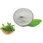 Hot Selling Product Stevia Extract Powder Food Additive Sweetener Stevia Sugar RA98% Stevioside