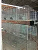 /product-detail/durable-metal-rabbit-breeding-cages-cheap-rabbit-cages-hj-rc12-60257382686.html