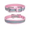Reflective belt stainless steel iron lettering pet collar
