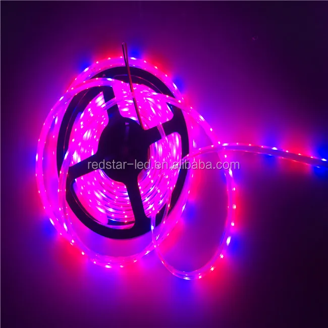 New Led Smart Zigbee Rgb Strip Light - ANKUX.COM