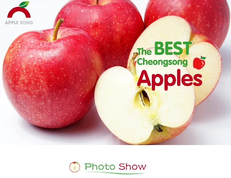 korean cheongsong high clean red fuji fresh apple