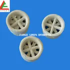 Industry Ceramic Cascade Rings random packing in absorbing tower