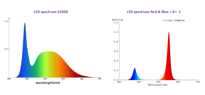 spectrum 2