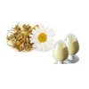 Best Price 100% Natural Chamomile Extract powder/Chamomile P.E
