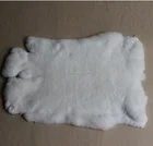 Rex Rabbit Fur Pelts / Genuine Rex Rabbit Fur Skin Wholesale