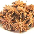 2019 new crop seasoning whole star anise seeds