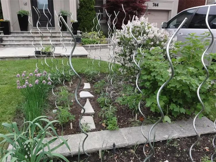 Tomato Spiral (11).jpg