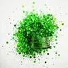 LOW MOQ Best quality Green Holographic chunky glitter for Nail Face body&DIY Crafts