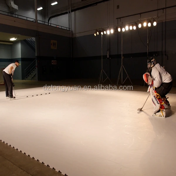 puzzle ice rink