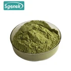 100% nature Plant Extract Vegetable Powder Spinach powder Spinacia oleracea powder