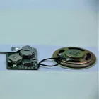 Mini animal recordable sound module for plush toys dolls cards