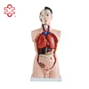 /product-detail/model-xc-201-half-body-human-body-manikins-factory-with-19parts-60390432088.html