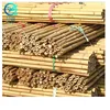 Large Dry Raw Moso Bamboo Poles for Sale