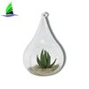 Home Decor Blown Glass Globe Air Plants Terrarium Glass Vase For Home Decoration