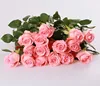 Preserved Qingyi Fresh Cut Flowers All Types of Natural Diana Pink Roses