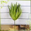 artificial plant in mini shade for home decoration with lucky