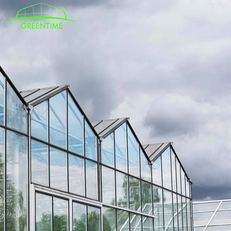رخيصة السعر التلقائي العمل لوحات زجاجية المغطاة الدفيئة تستخدم للزراعة