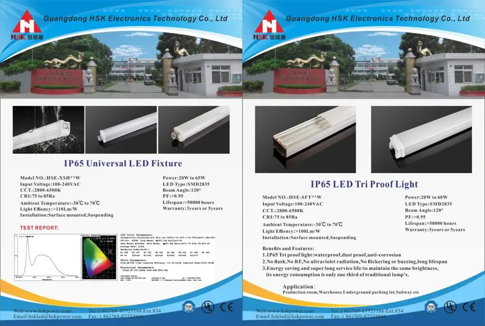 IP65.jpg