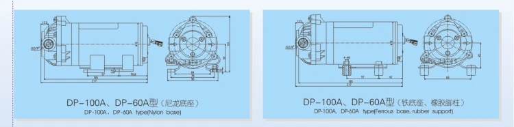 DP-100A 60A