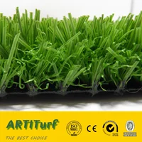 Landscaping Outdoor Floor Carpet Best Price
