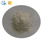 Sports nutrition food grade rice protein powder