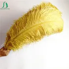 Feathers Ostrich Feathers Artificial Ostrich Feathers Gold Plumes Carnival Ostrich Feathers For Wedding Decoration